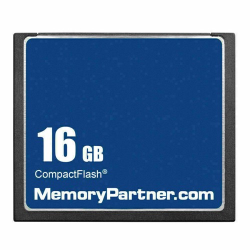 Scheda memoria gb oem - 16,